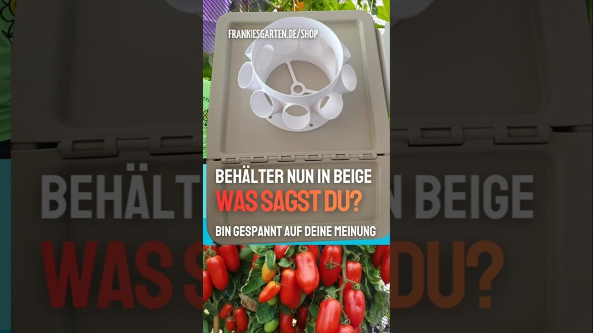 Beige oder Weiß? #hydroponiklernen #garden #selbstversorgung #diy #gardening #gärtnernohneerde