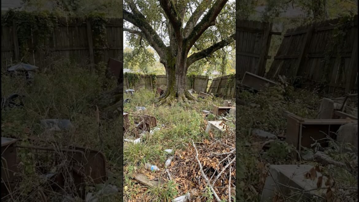 From Abandoned Backyard to a Cozy Treehouse Retreat | Living Space Transformation