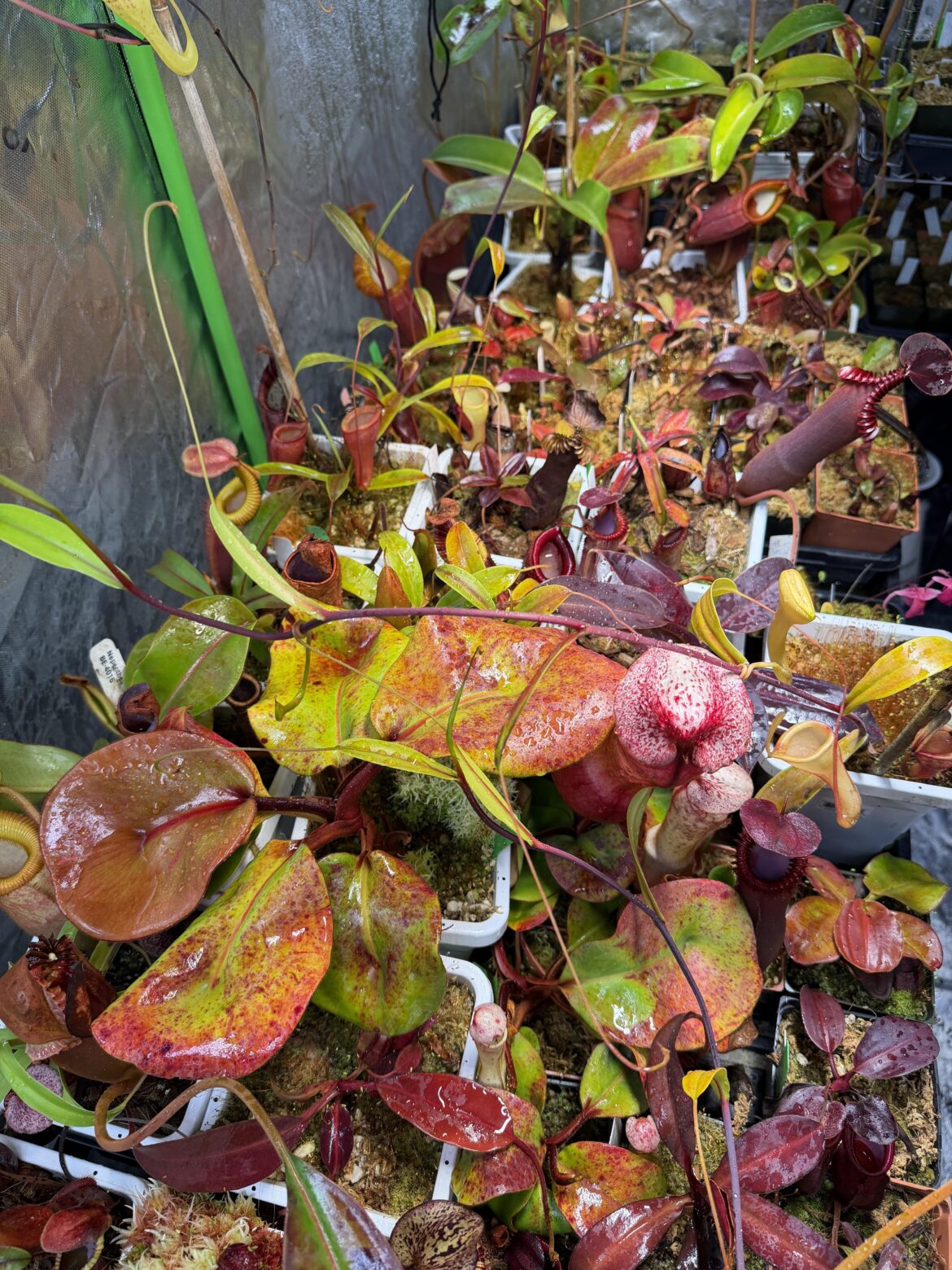 Maybe I need to turn the lights down a touch