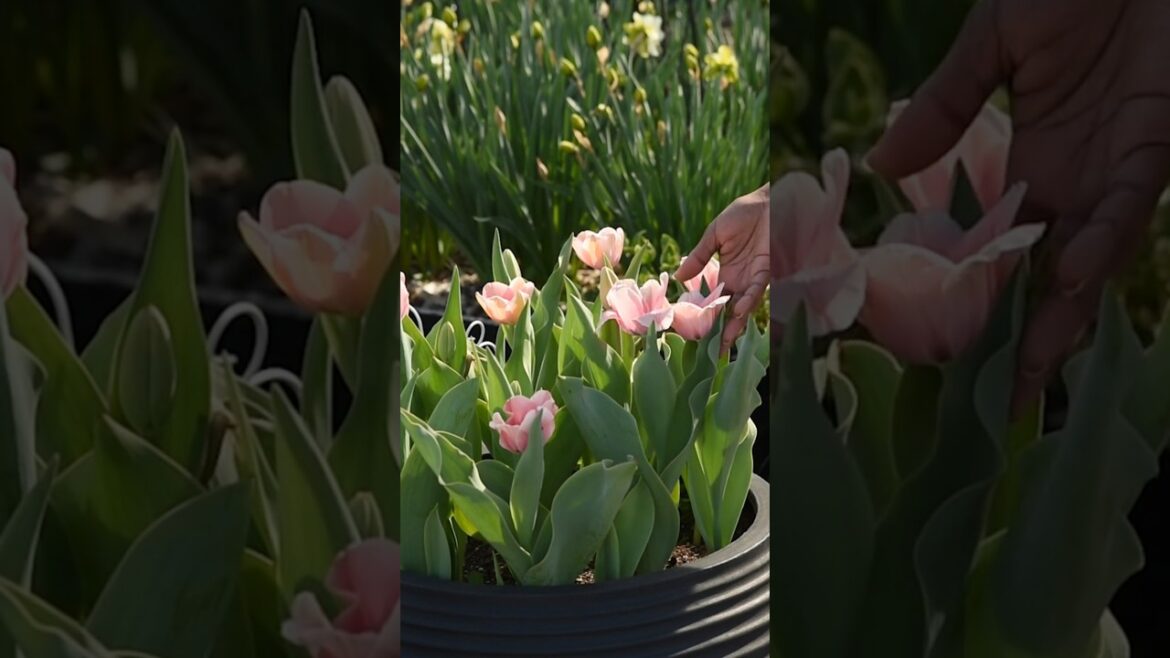 Dreaming of this moment...