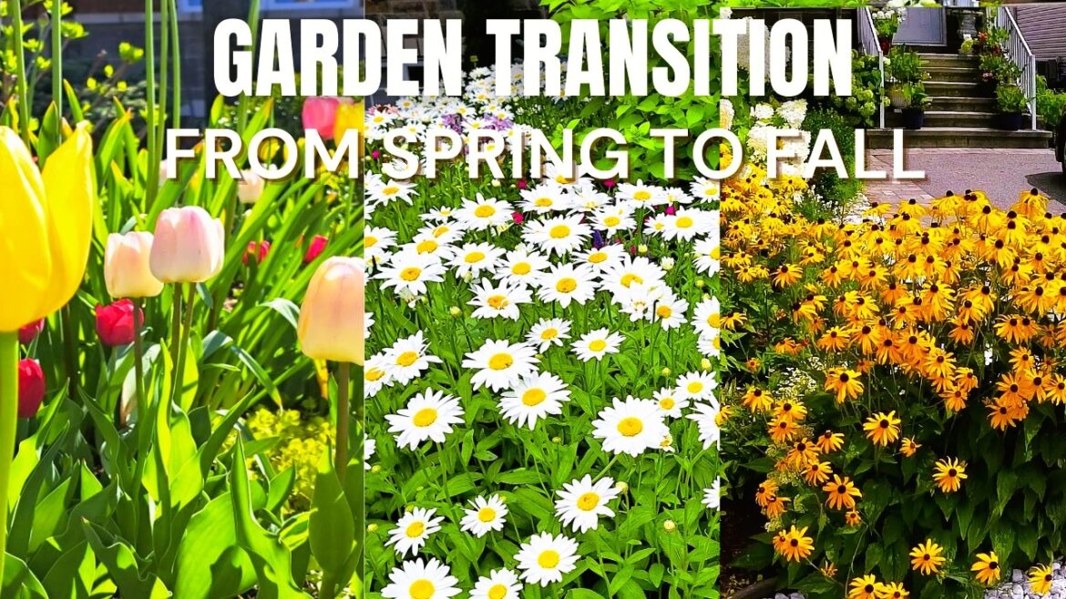 TINY FRONT YARD GARDEN TRANSITION FROM SPRING TO FALL | PLANTS AND FLOWERS WITH NAMES | RELAXING