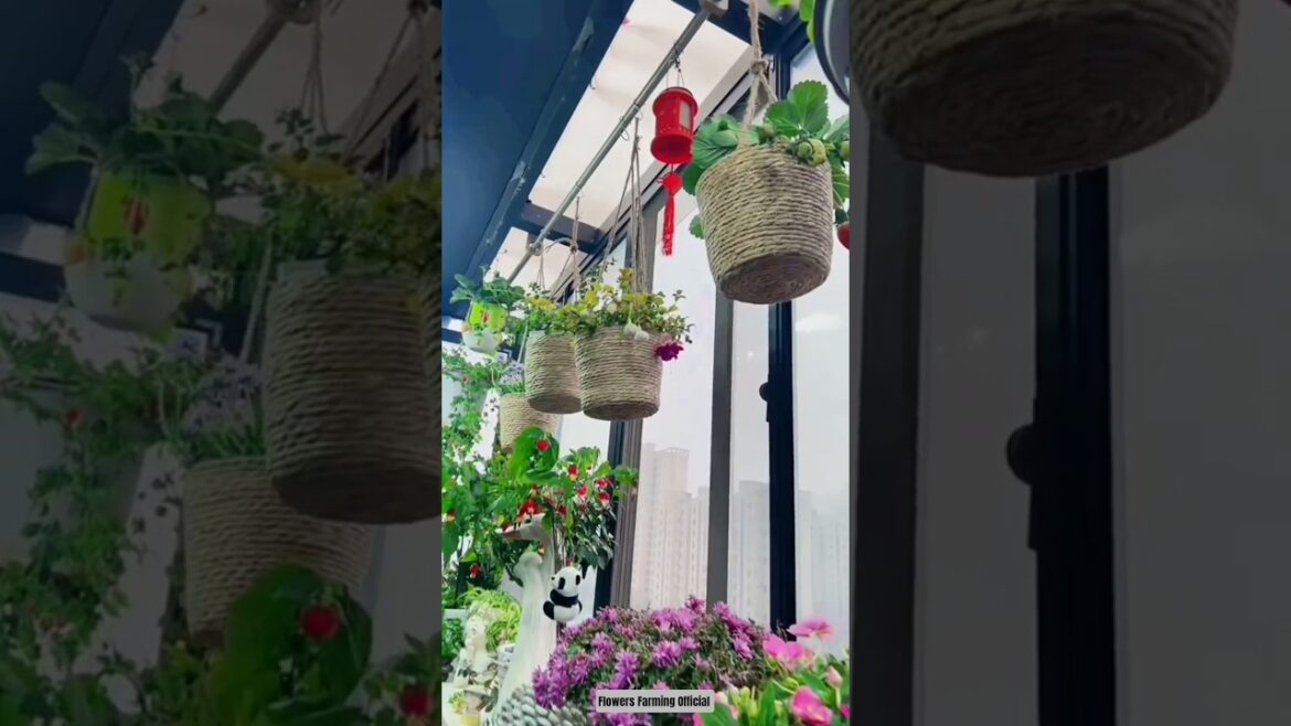 Creative Hanging Garden On A Big Budget 🌿💰#gardening​ #nature​#garden​ #homedecor​ #plants​ #viral​