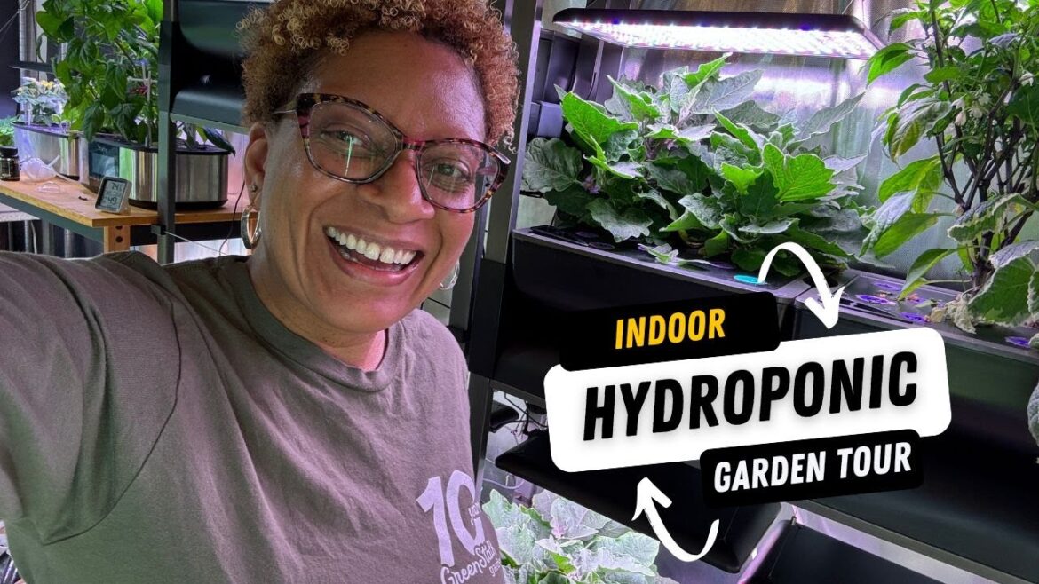 Full Indoor Hydroponic Garden Tour #hydroponics #indoorgardening
