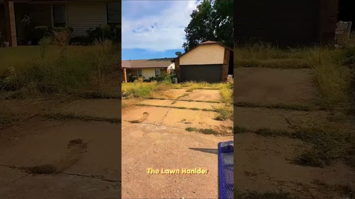 Cleaning Front Yards | Sidewalk 🍃 #shorts #satisfying #asmr