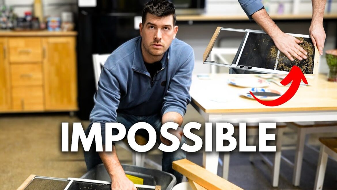 I Accepted Defeat With This Seed