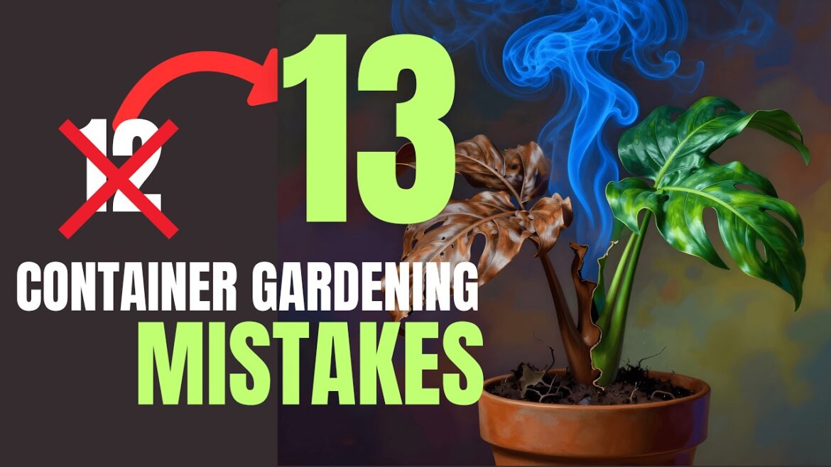 Avoid These 13 Container Gardening Mistakes (My 2-Year Lessons Learned) | Tips for New Gardeners