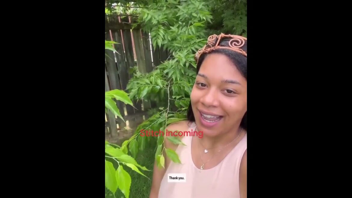 Nature Attacked My Camera 😅🍃 | Unexpected Funny Moment