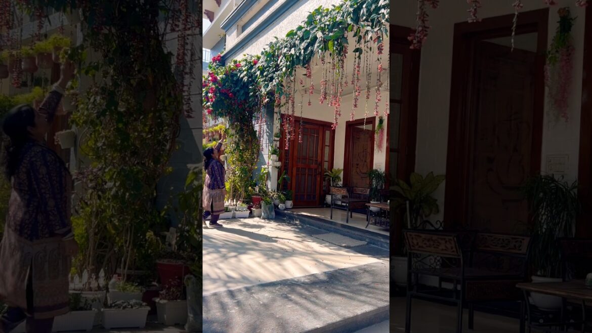 #motivation #gardenplants #garden #plants #flowers #gardening #gardenflowers #home #homegardening