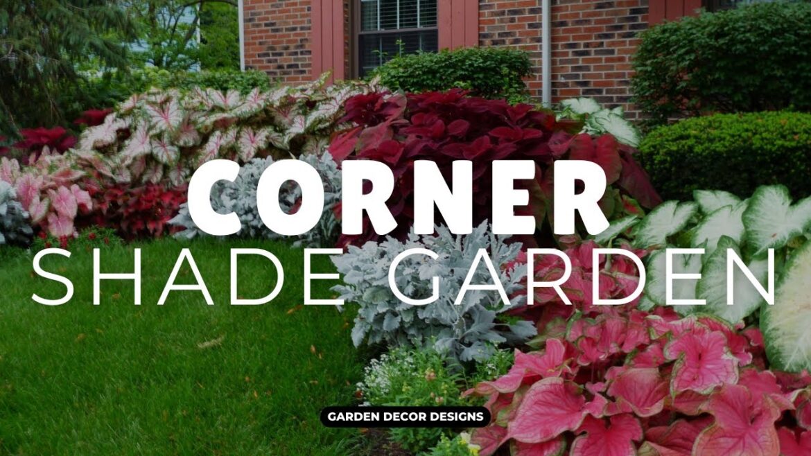 CORNER SHADE GARDEN DESIGN IDEAS | TRANSFORM BACKYARD DARK SIDE INTO SHADY LANDSCAPE AS HANGOUT SPOT