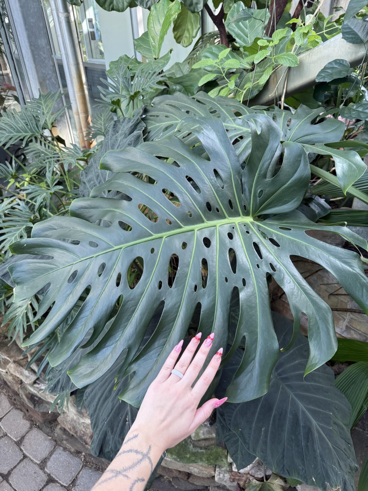 Frederik Meijer Gardens & Sculpture Park in Michigan