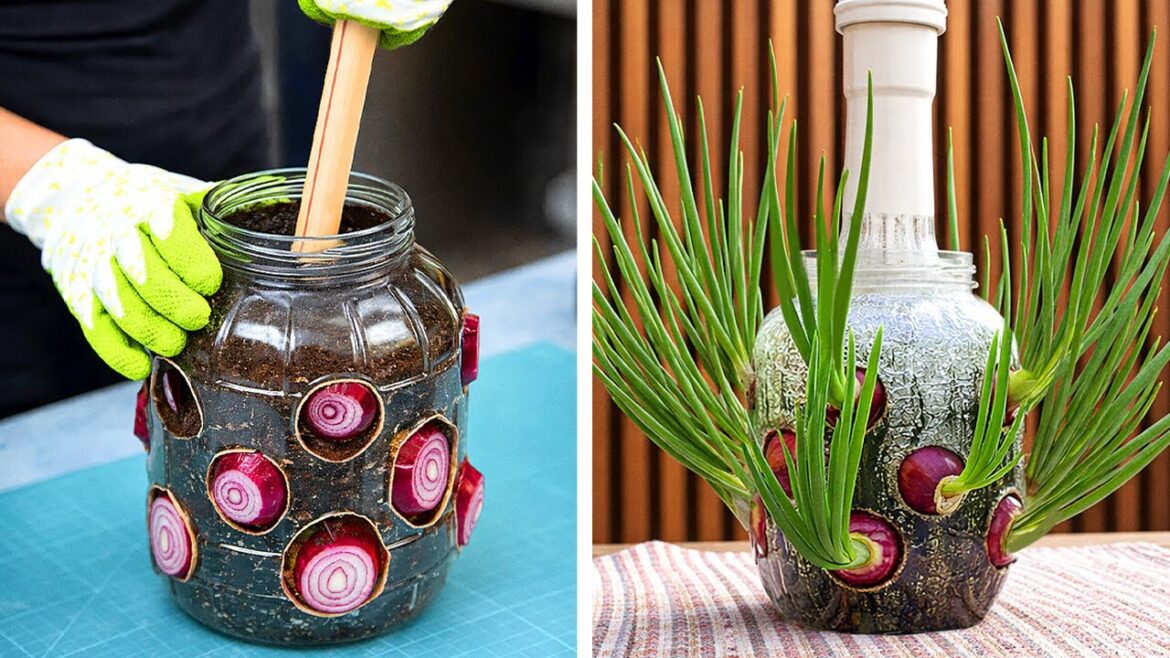 Urban Gardening: Transform Your Tiny Space into a Cozy Oasis 🌿