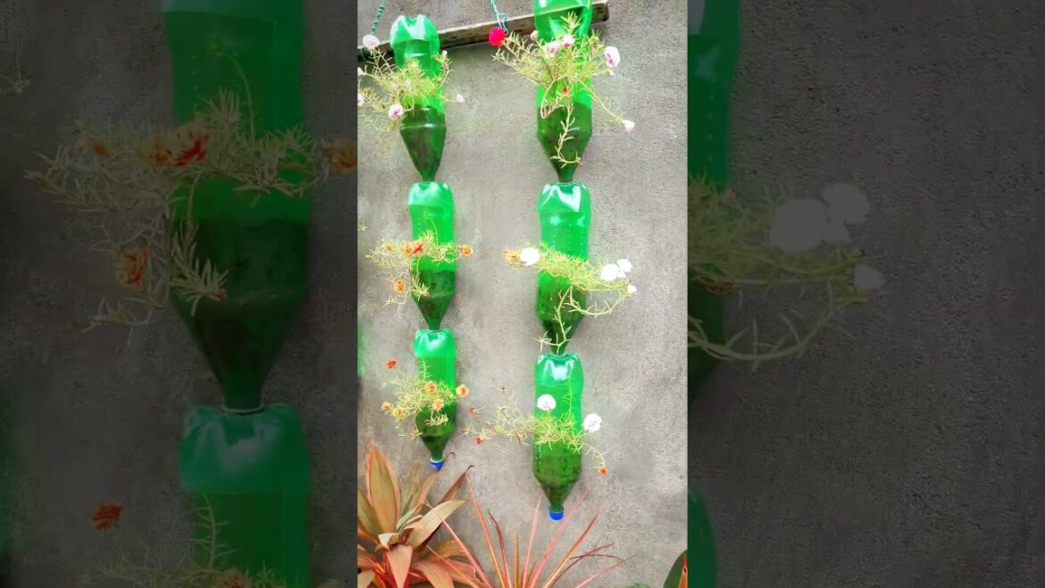 Tips For Gardener | How To Care Plants #shorts #gardening #shortsvideo