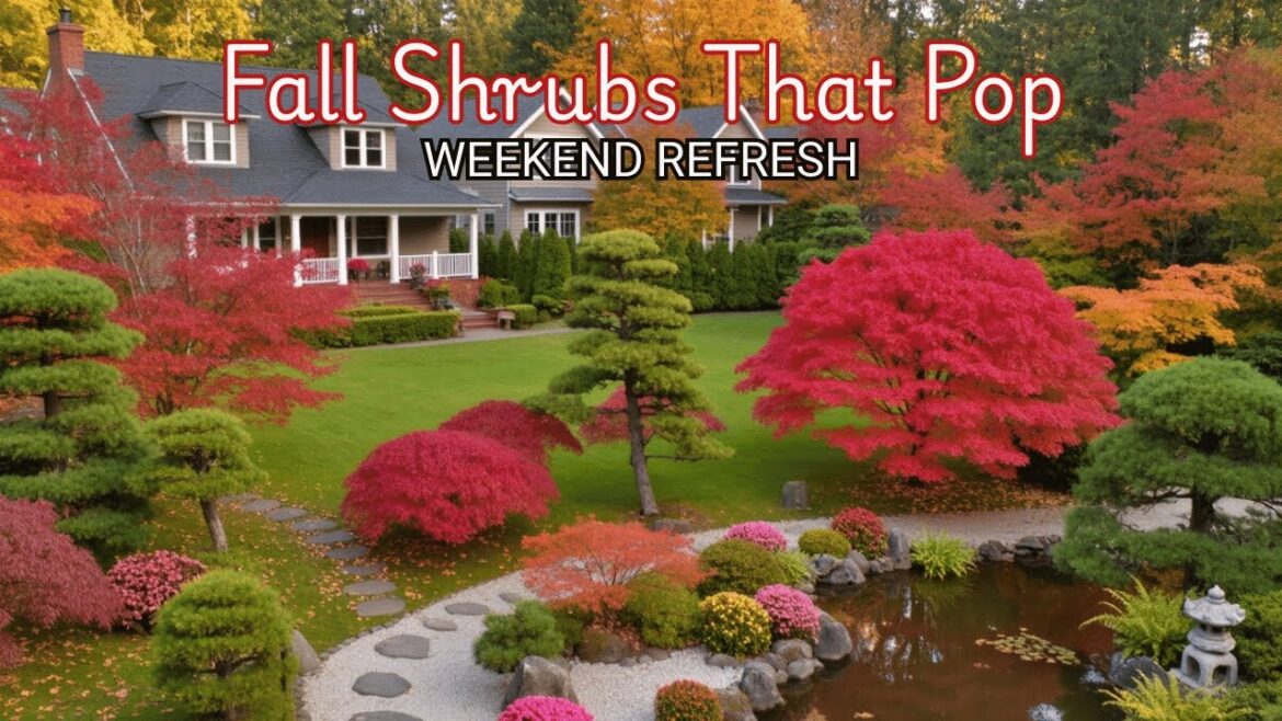 Japanese Garden Design Ideas for Autumn: Plant Lasting Color to First Frost!