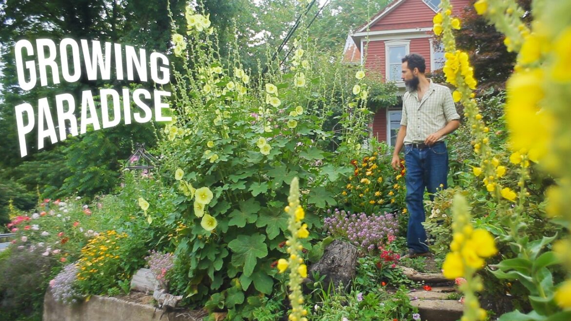 I Transformed a Bare Hillside into the ULTIMATE Cottage Garden