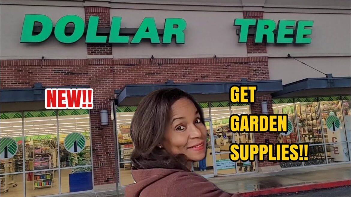 Gardening Supplies are at the Dollar Tree | What NOT to Buy & What to Buy
