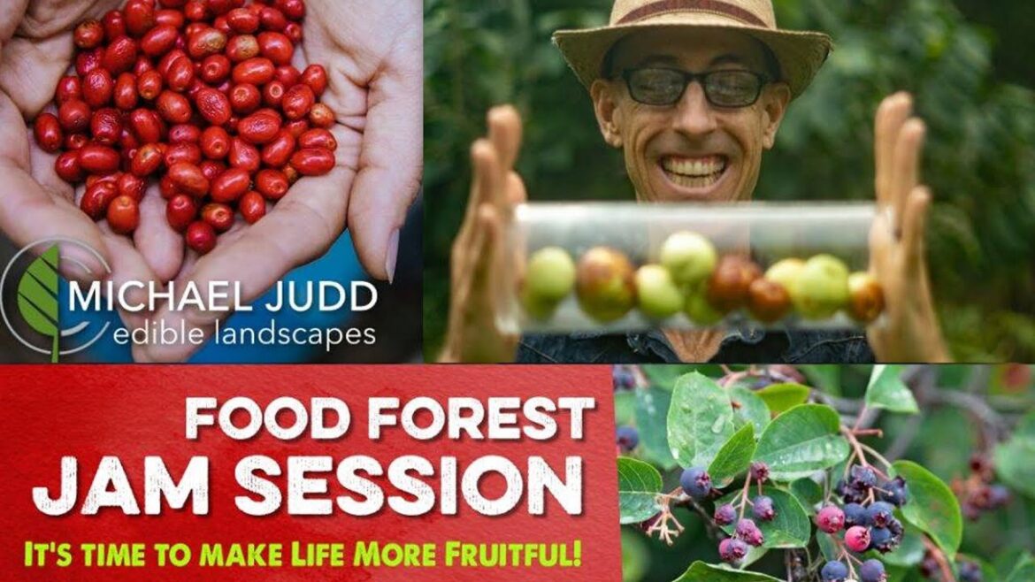 Food Forest Jam Session