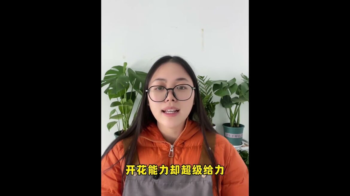 Revive Your Garden: 5 Easy Tips to Keep Flowers Thriving Revive Your Garden: 5 Easy Tips to Keep Flowers Thriving