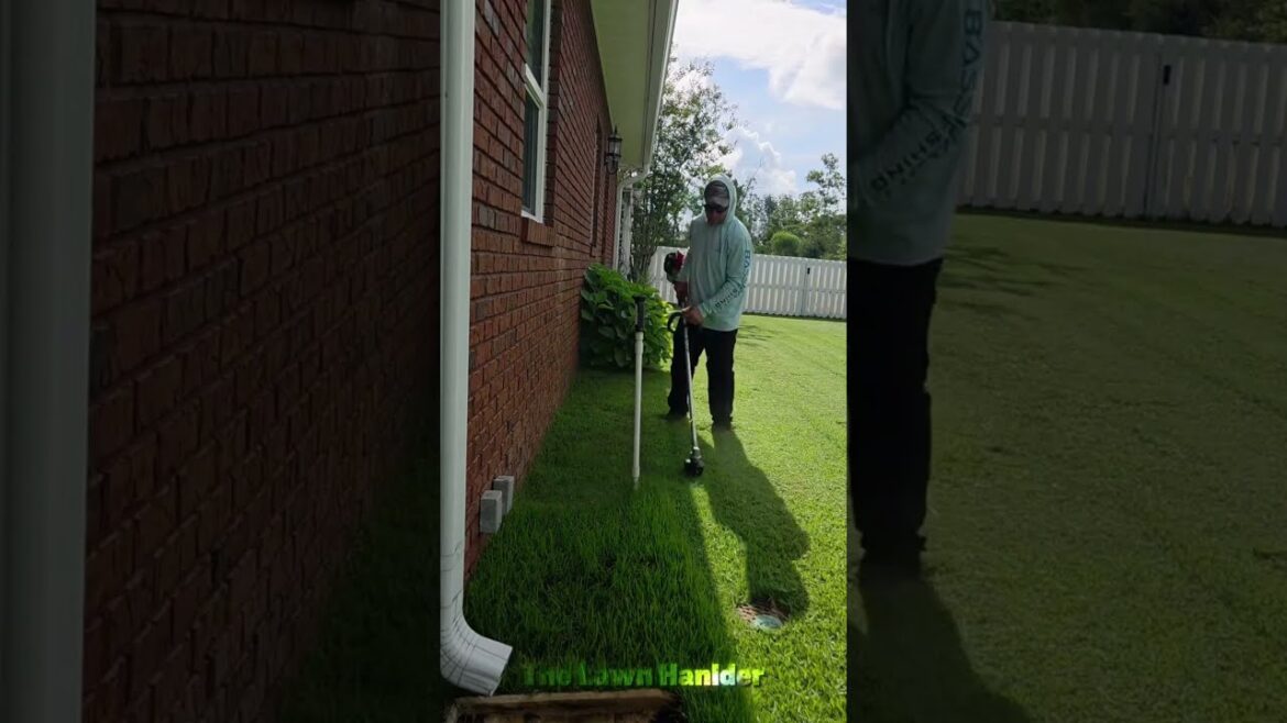 Edging | Trimming | Cutting | Mowing | Pruning #shorts #satisfying #gardening Edging | Trimming | Cutting | Mowing | Pruning #shorts #satisfying #gardening