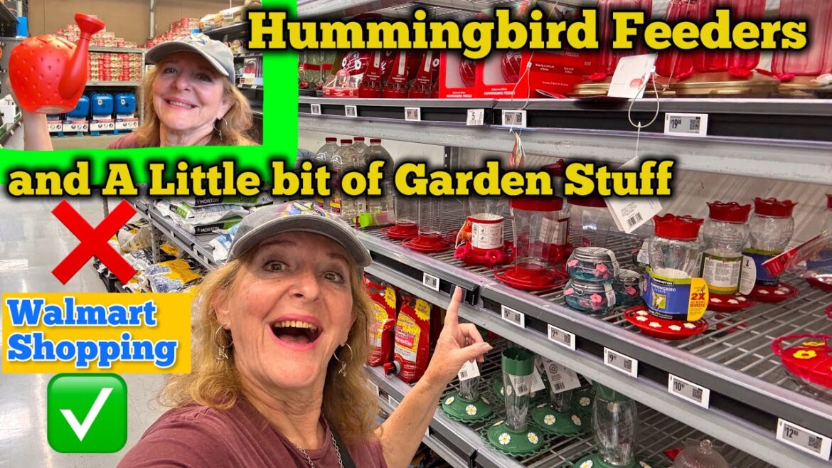 Walmart Hummingbird Feeder & Garden Supplies Shopping for Wild bird Feeders Seeds Flower Pots Decor