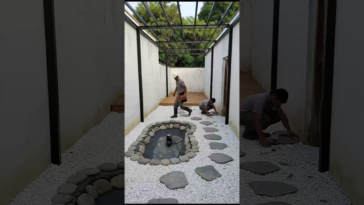 Backyard Renovation #transformation #restoration