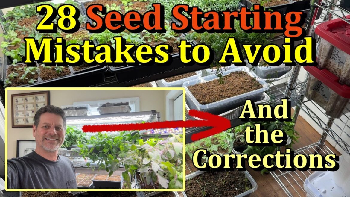 28 Common Indoor Seed Starting Mistakes to Avoid (Full Details & Corrections)