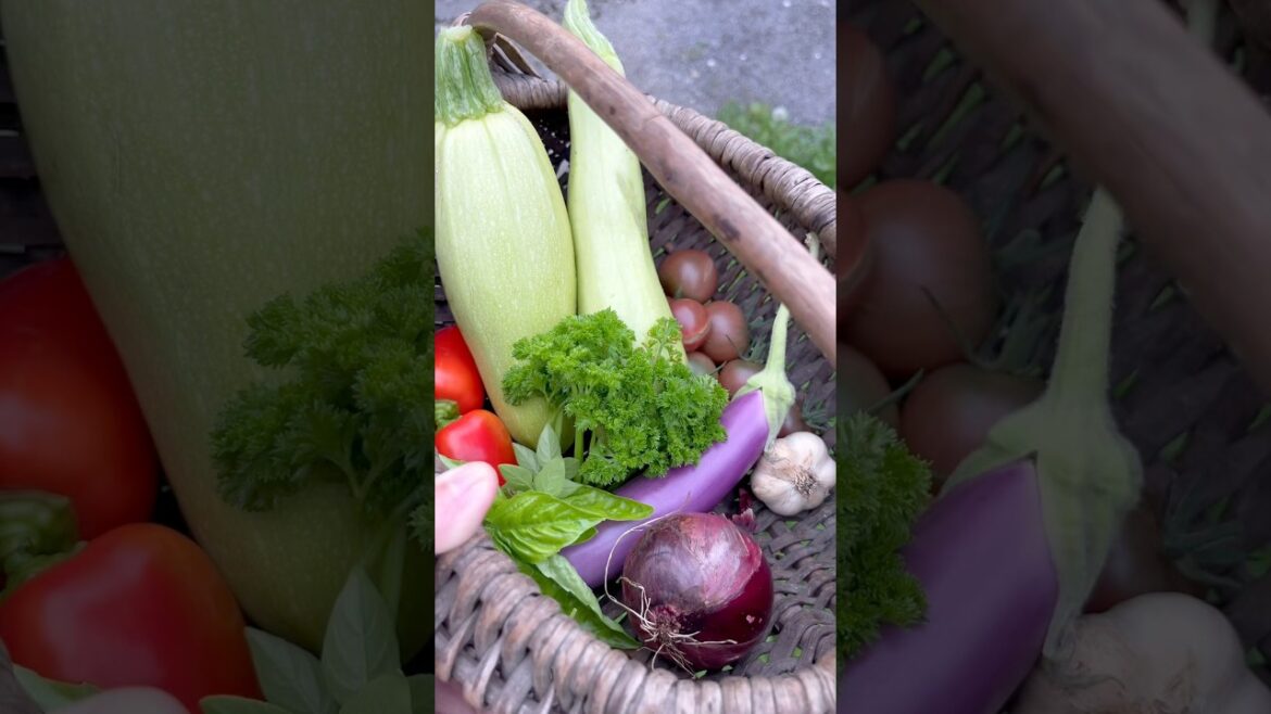 Dinnner from the garden 🍲#gardentotable #harvest #garden #food #backyardgarden #growyourownfood