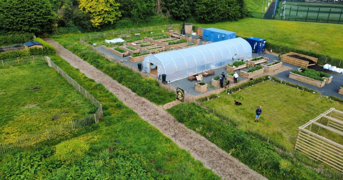 Local opposition grows against Botanic GAA pitch plan that will uproot community gardens Ipso logo