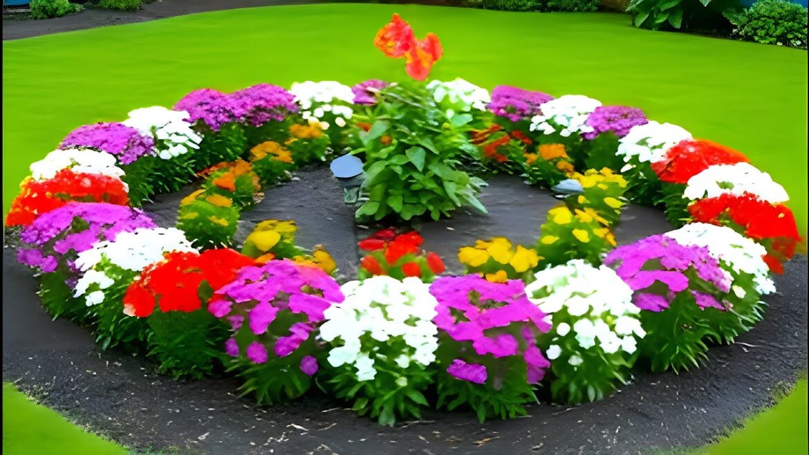 Home Garden Design Ideas | Simple Layouts, Plants & Outdoor Styling Home Garden Design Ideas | Simple Layouts, Plants & Outdoor Styling