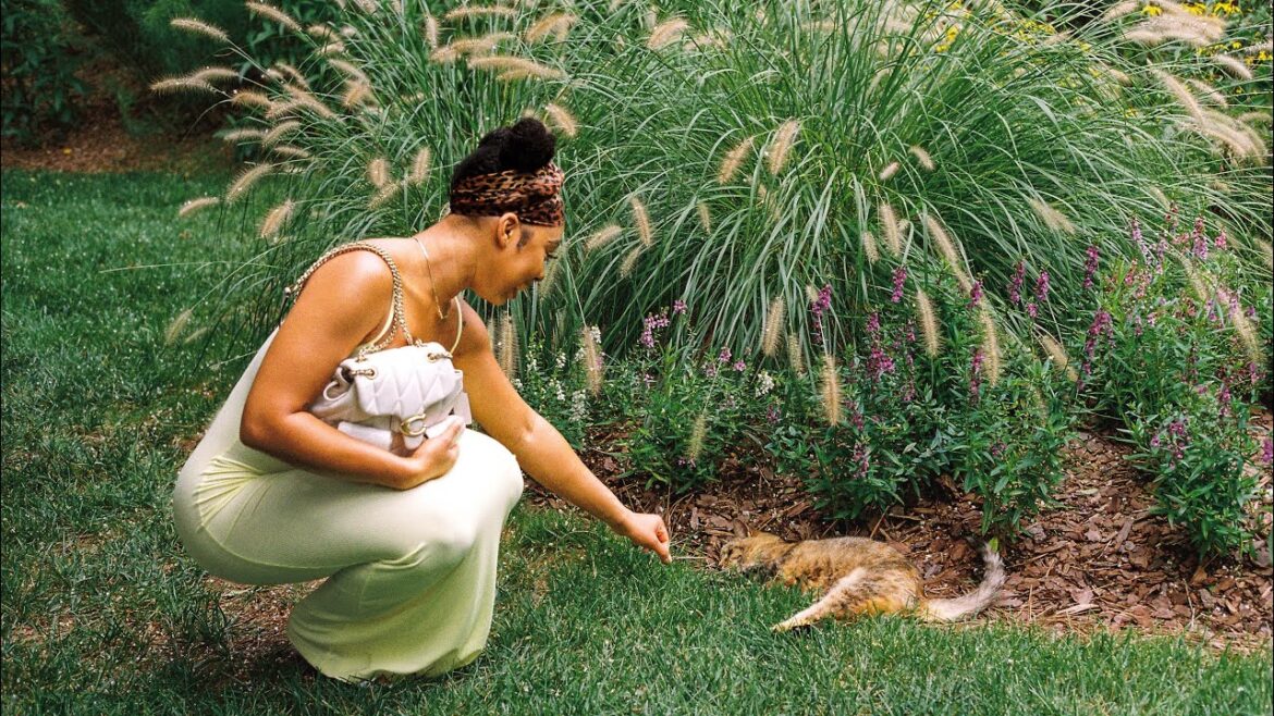 I Traveled Over 50 miles To See A Japanese Garden!