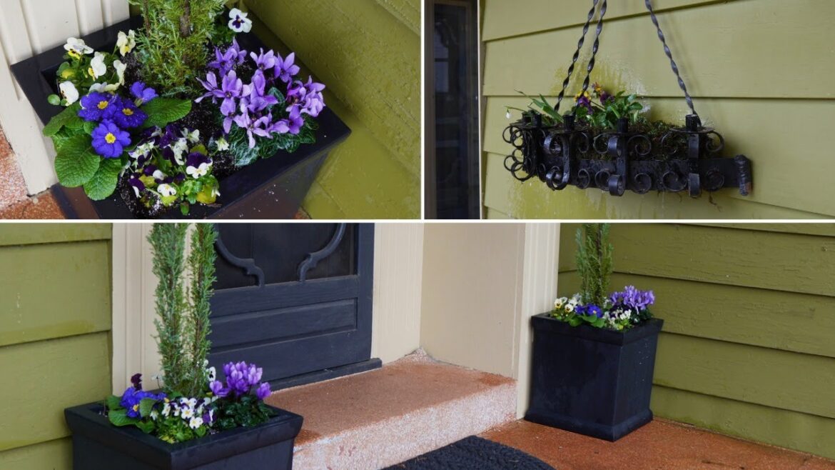 Winter Porch Pots Design | Color in the Garden!