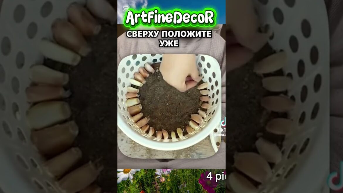 DIY gardening supplies. An empty yard is boring. 🎨 DIY workshop today. #2026