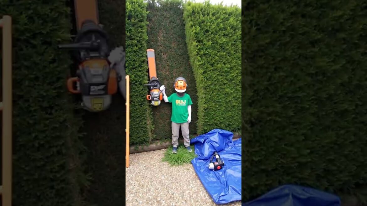 Satisfying Gardening Work You'll Ever Watch!🌳 #6