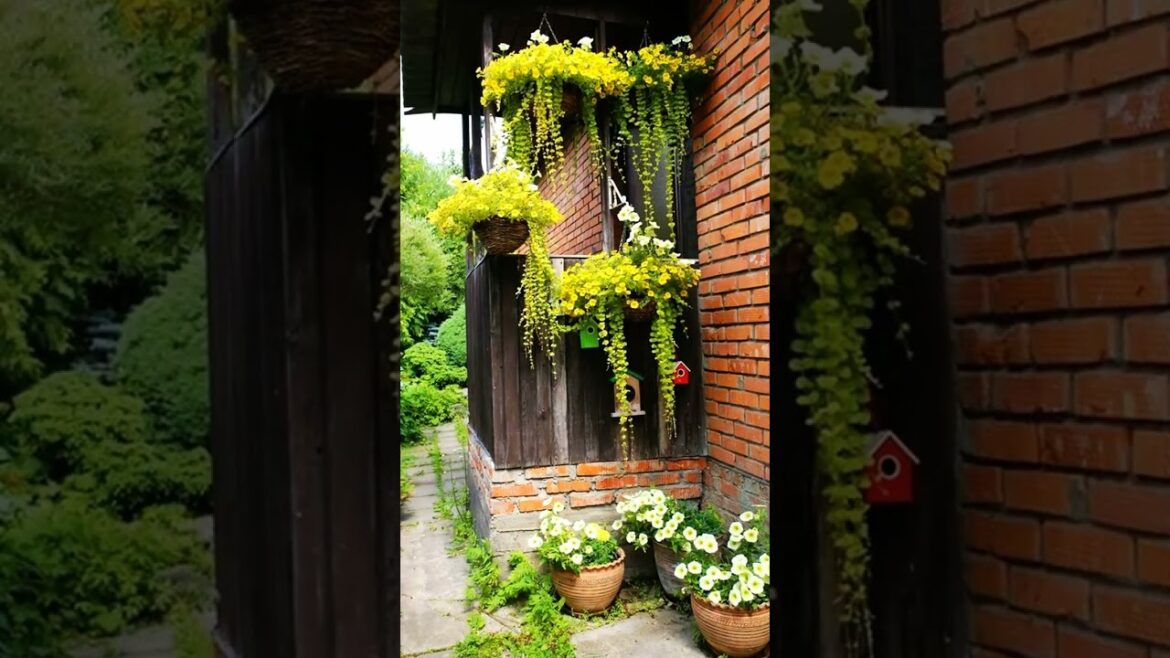 19 Идей для сада, которые заставят ваших друзей завидовать вам❗️