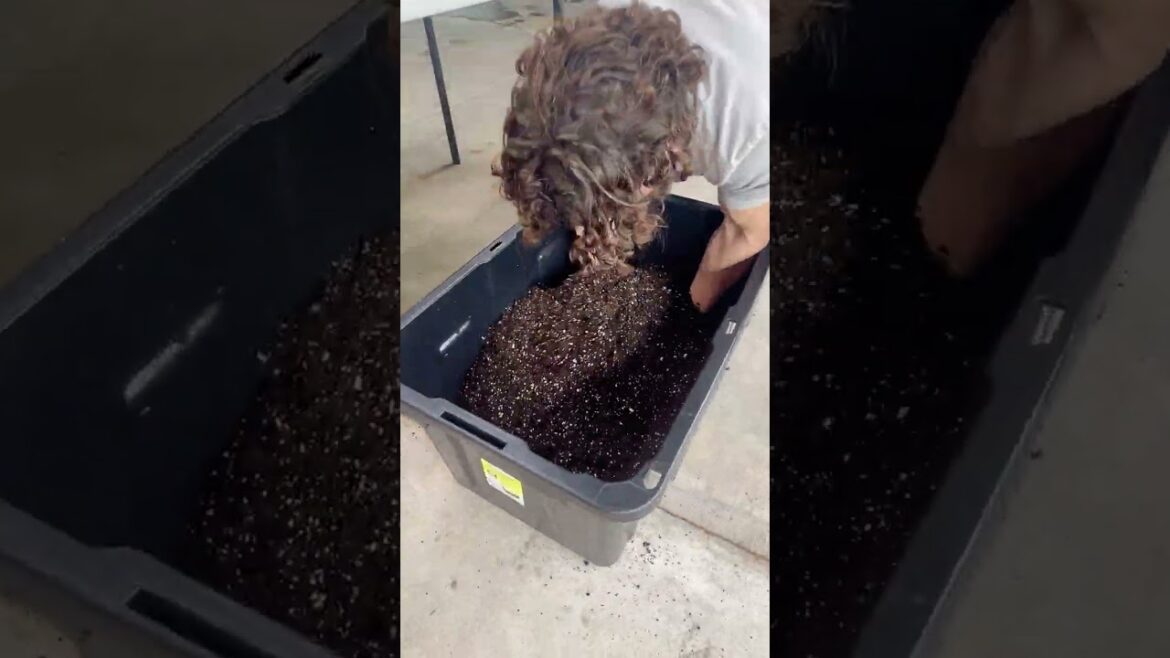 Make Your Own Soil Blocking Mix – Easy & Effective!