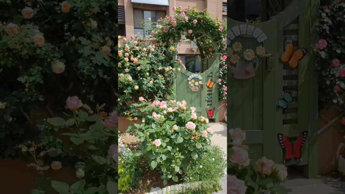 Creative Home Garden Paradise Tour 🌿🤯 #homegarden #gardening #asmr #short #satisfying #garden #decor