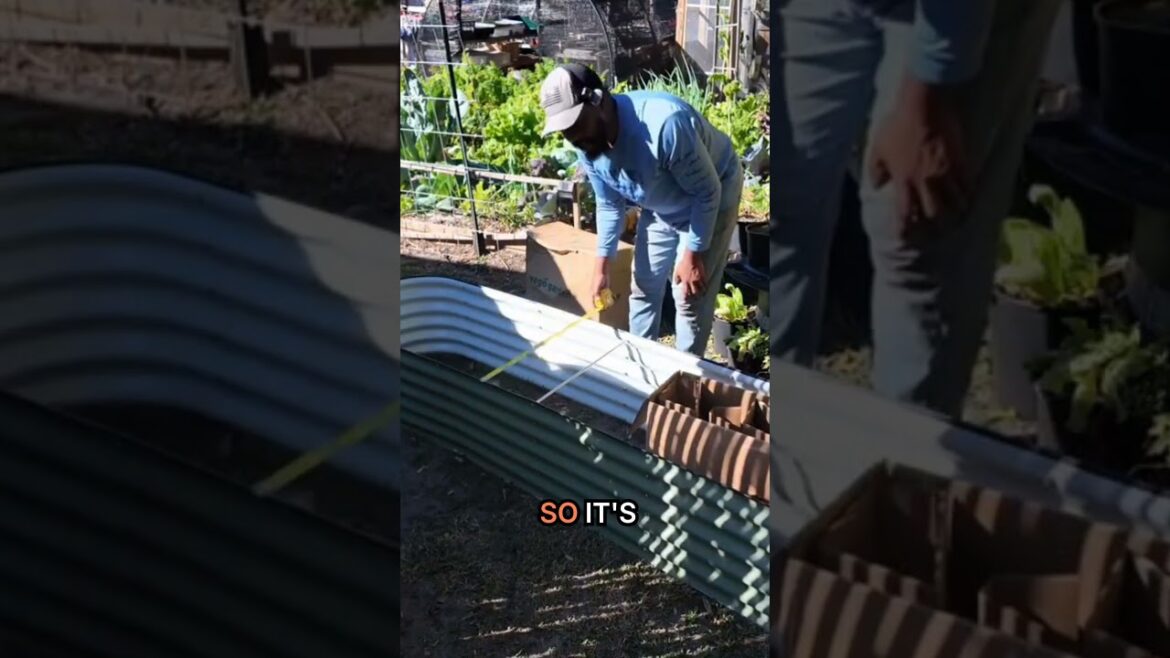 New Bed Assembly @vego_garden #vegogarden #gardening New Bed Assembly @vego_garden #vegogarden #gardening