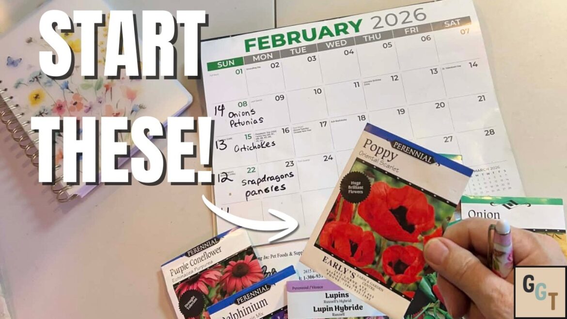 February Seeds for Zones 3-5: What You Can Start NOW February Seeds for Zones 3-5: What You Can Start NOW