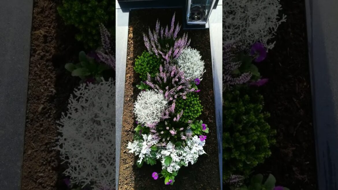 Смарт➖сад ➖ 10 способов автоматизации вашего участка