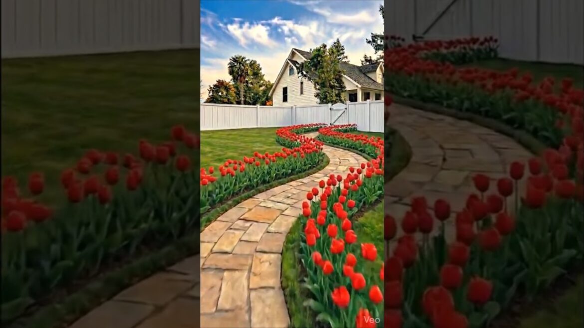 Egg Carton Hack | Making A Perfect Tulip Pathway