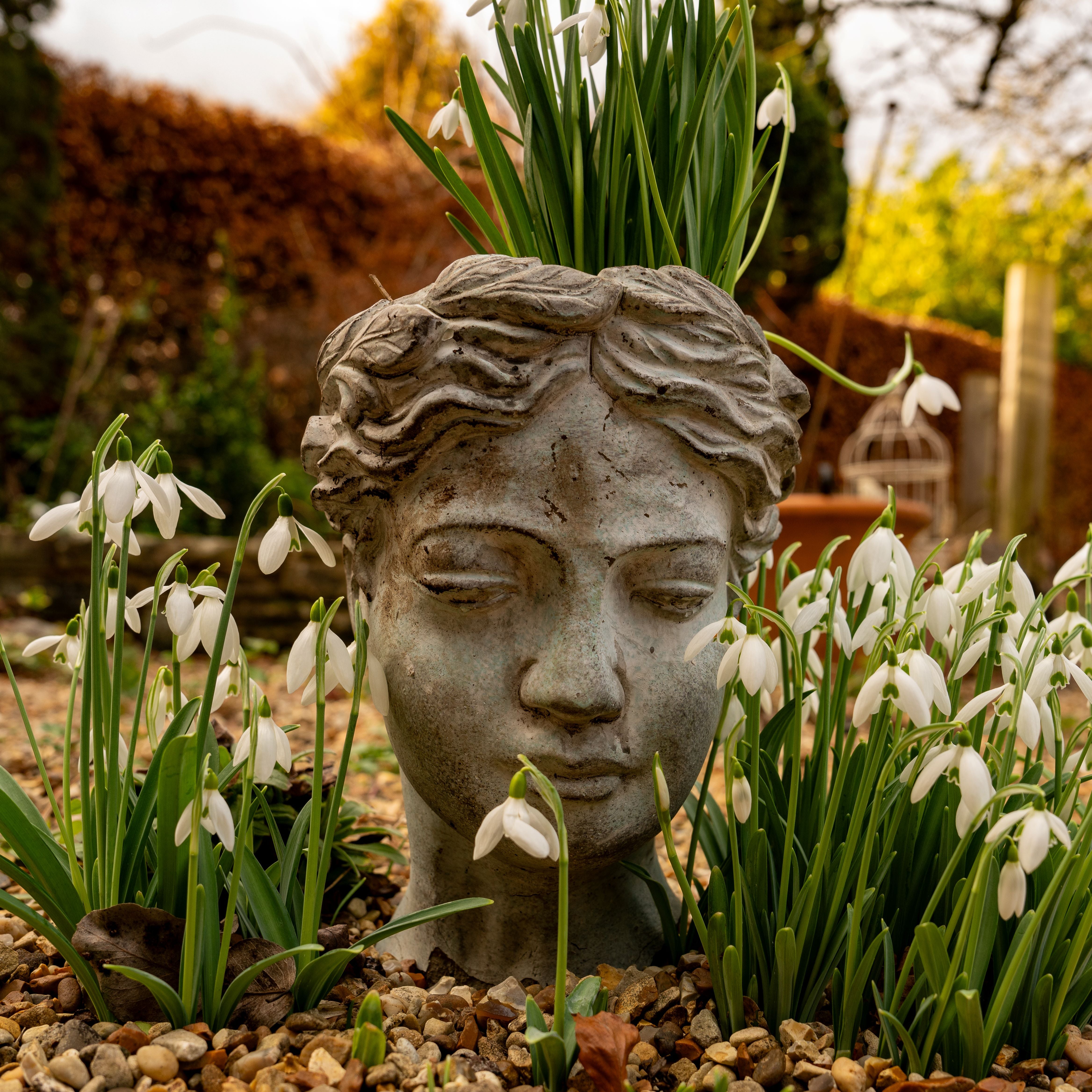 Statue and snowdrops in Serendi, Herts