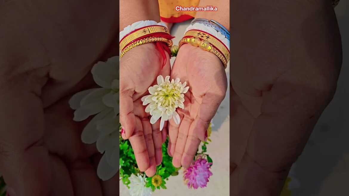 ফুল নিয়ে টিকটক #gardening #youtubeshorts #UpdateGardening #garden #youtubeshort #flowers #rose