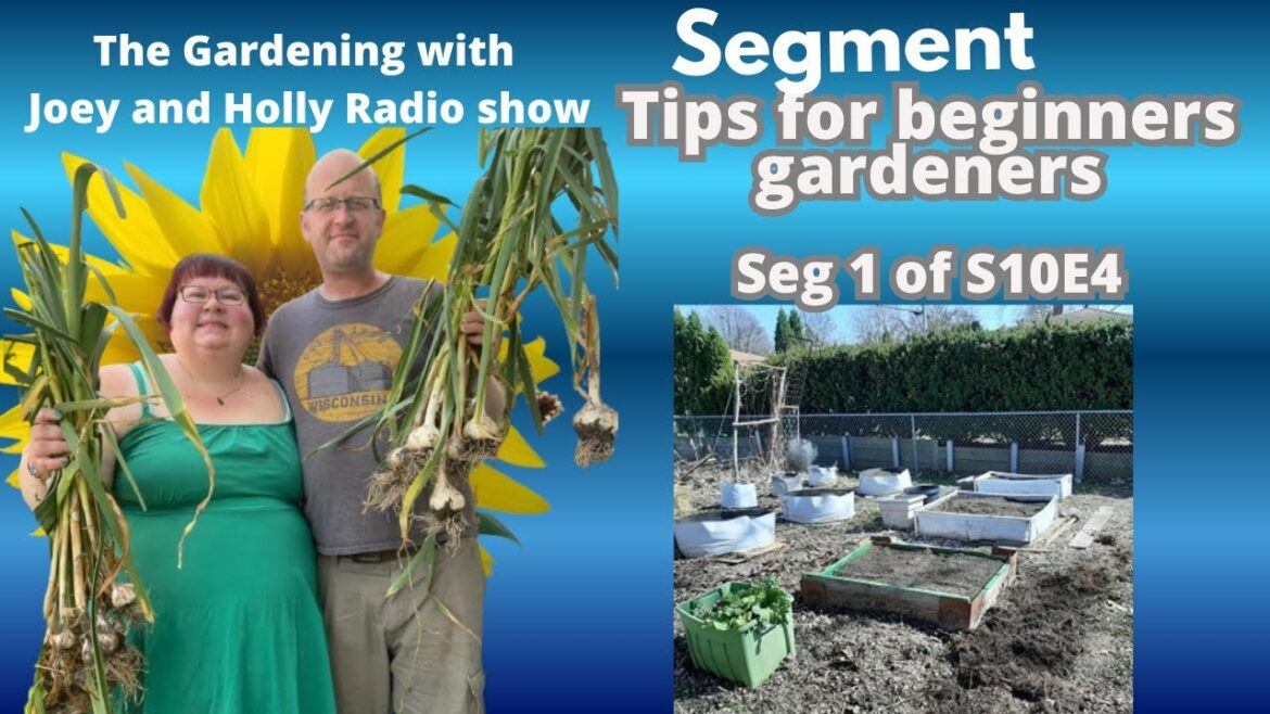 Seg 1 of S10 E4 Tips for the begniner gardener – The Gardening with Joey and Holly Radio Show Seg 1 of S10 E4 Tips for the begniner gardener - The Gardening with Joey and Holly Radio Show