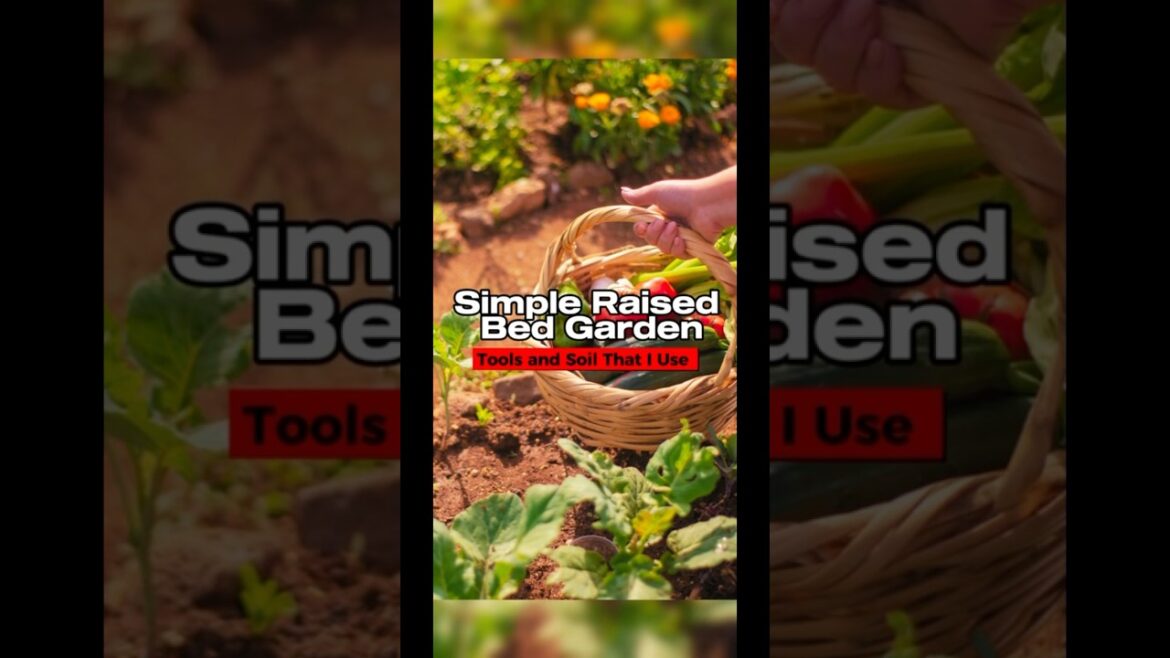 Top Homestead Supplies for Small Gardens 🌱 | Must-Have Tools for Every Gardener!