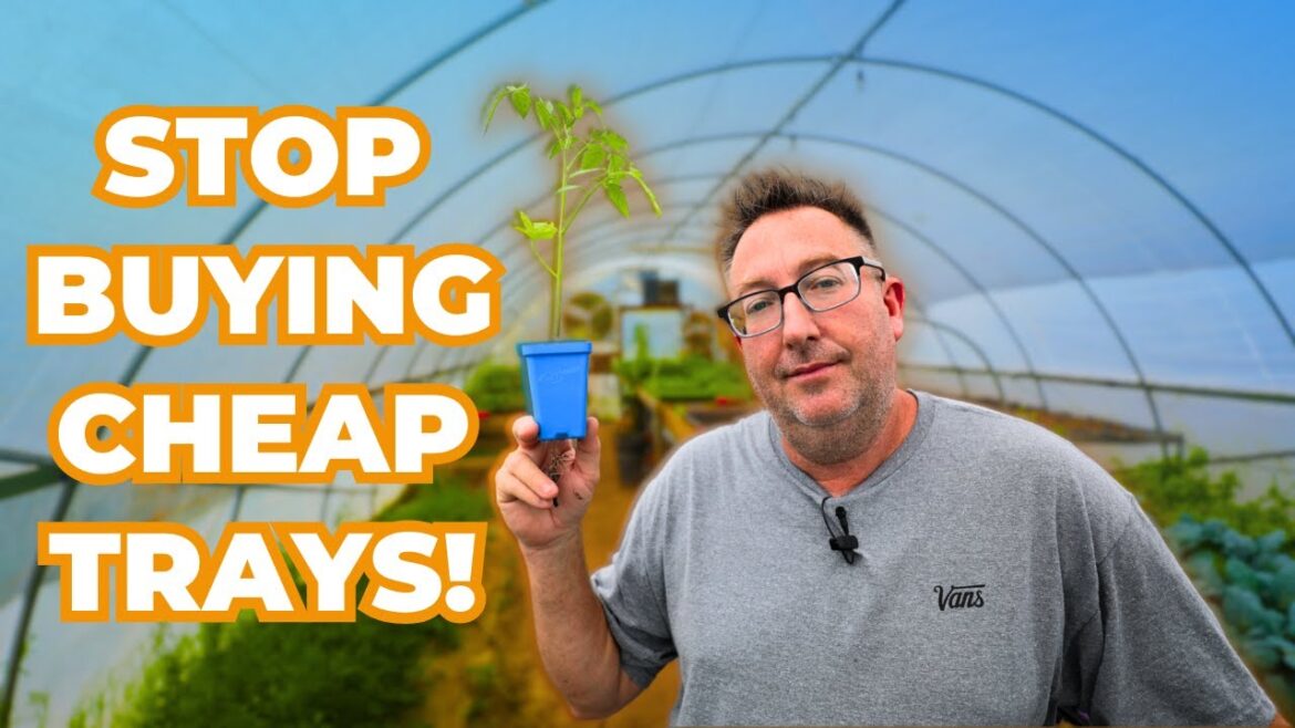5 Garden Supplies You Should NEVER Buy From a Big Box Store 5 Garden Supplies You Should NEVER Buy From a Big Box Store