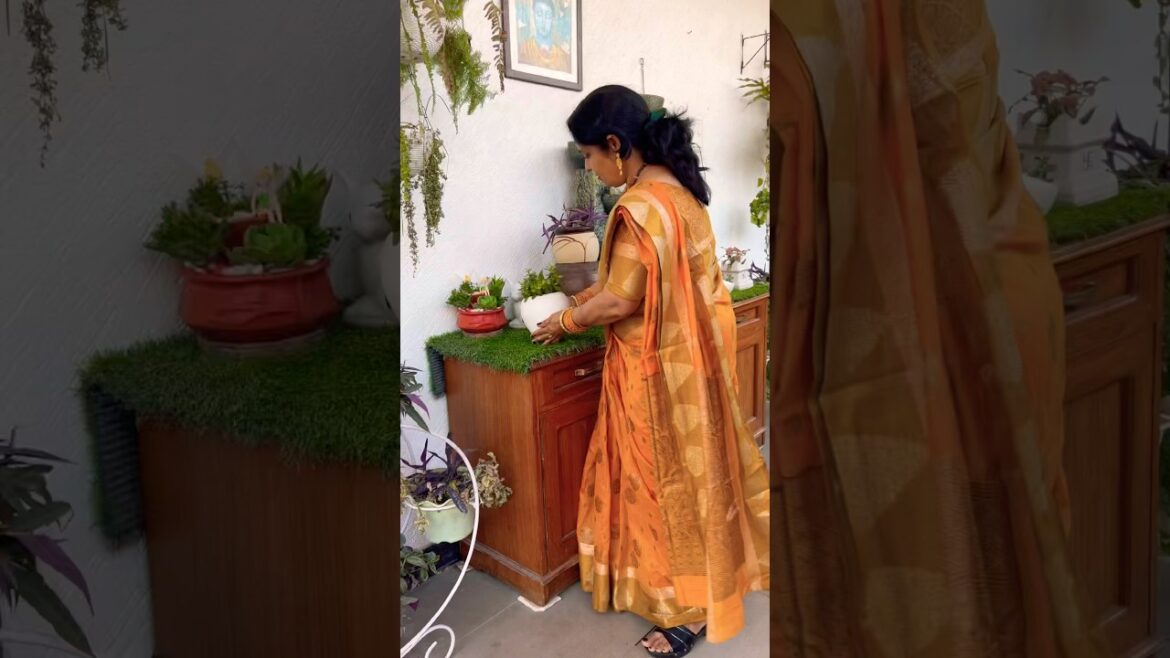 Home gardening ideas#homedecor #gardening #garden #plants #homegardening #homeentrance #plantscare