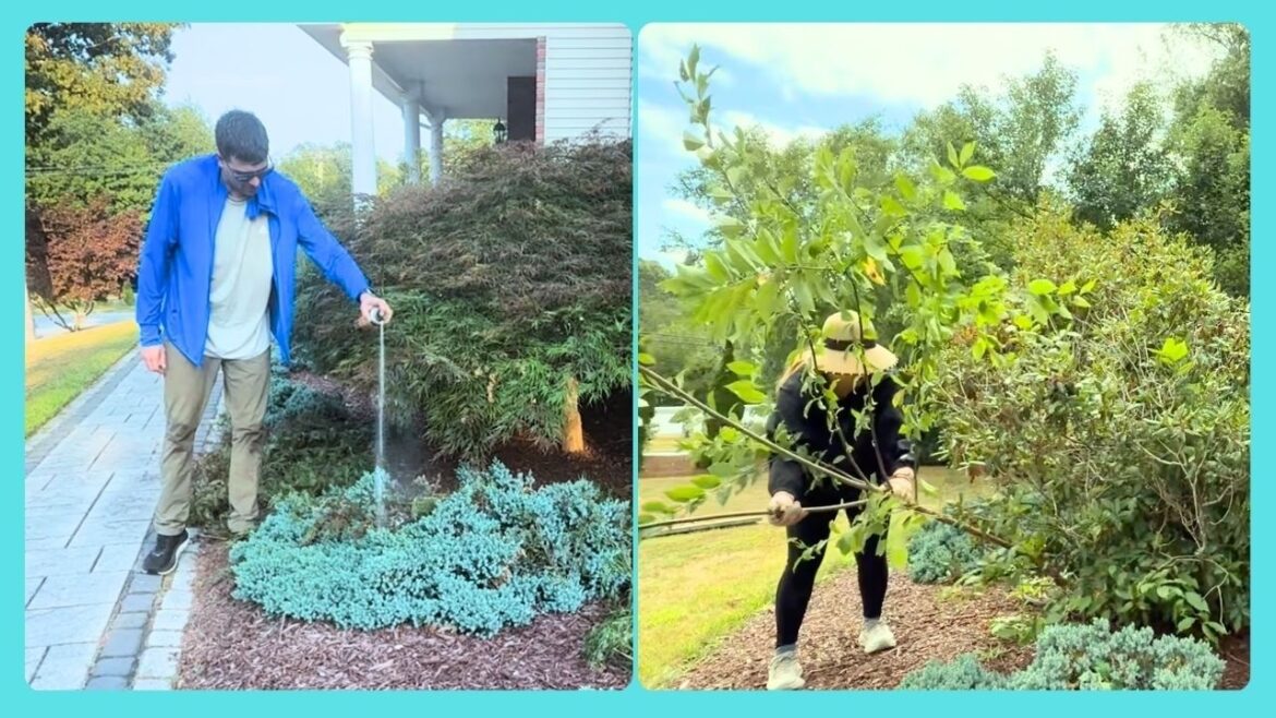 $0 DIY Front Yard Makeover | Why We Didn't Hire a Landscaper