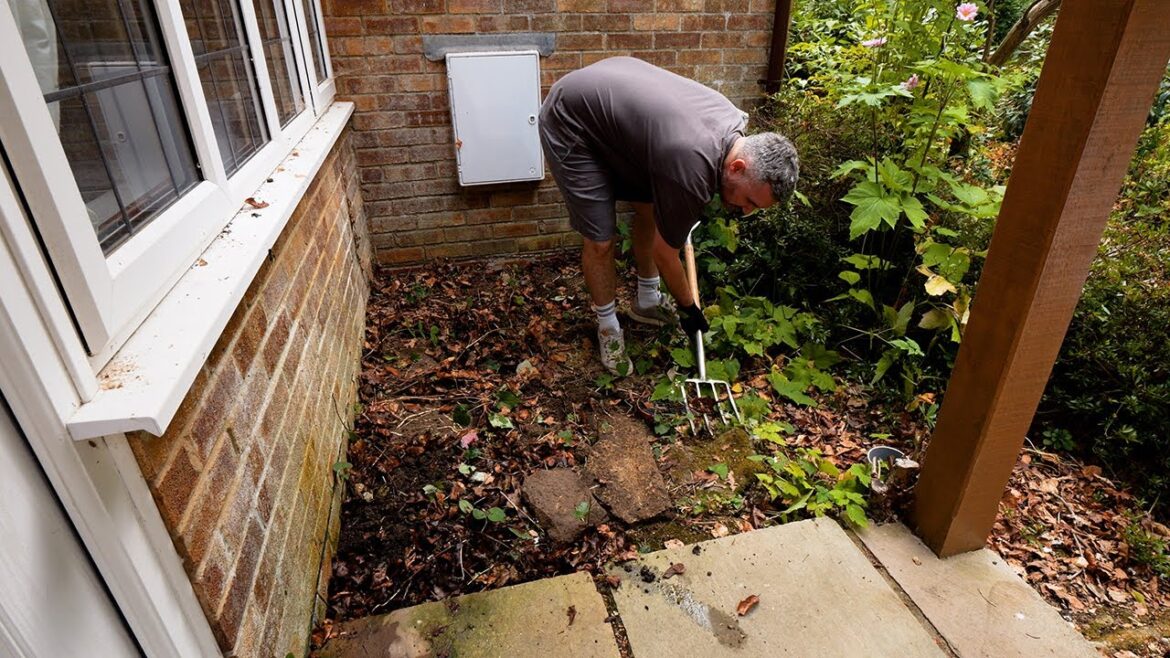 Transforming a Neglected Porch Into a Cozy Entrance