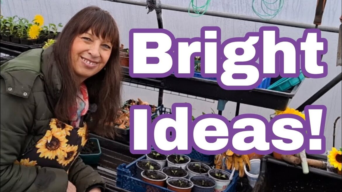 These Gardening Tips Are Worth Thinking About | UK Alotment Garden