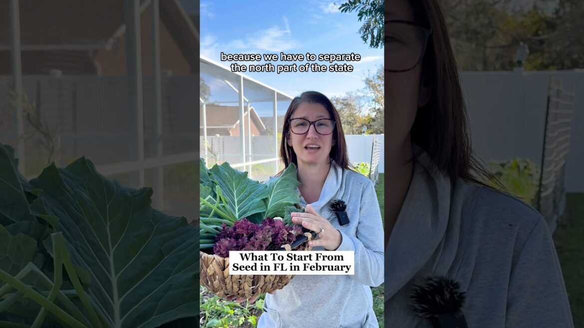 February Florida Planting Guide: Get Ready for Spring! February Florida Planting Guide: Get Ready for Spring!