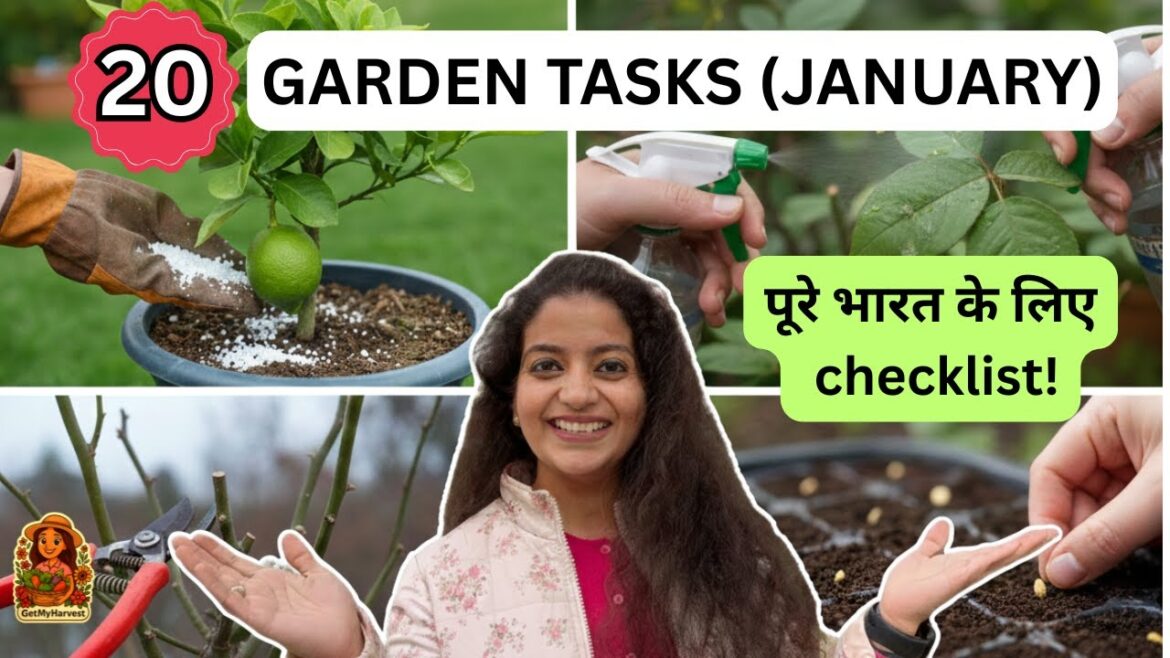 JANUARY GARDENING: YEH 20 KAAM KARO! (Pan-India Tips) JANUARY GARDENING: YEH 20 KAAM KARO! (Pan-India Tips)